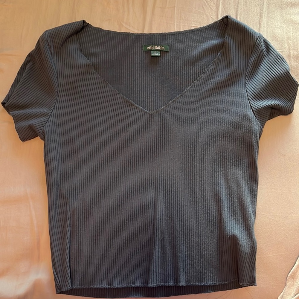 Wild Fable Crop Top